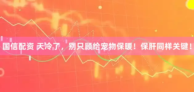 国信配资 天冷了，别只顾给宠物保暖！保肝同样关键！