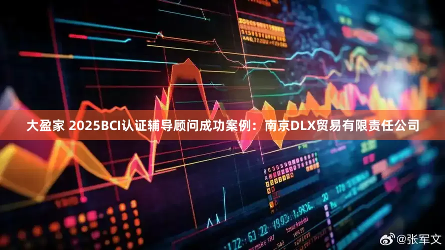 大盈家 2025BCI认证辅导顾问成功案例：南京DLX贸易有限责任公司