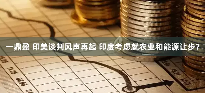 一鼎盈 印美谈判风声再起 印度考虑就农业和能源让步？