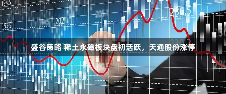 盛谷策略 稀土永磁板块盘初活跃，天通股份涨停